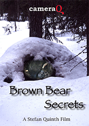 Brown Bear Secrets