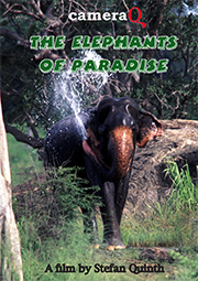 Elephants of Paradise - on demand