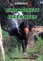Film - Paradisets elefanter på Vimeo on demand