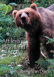 DVD - Att leva i björnland